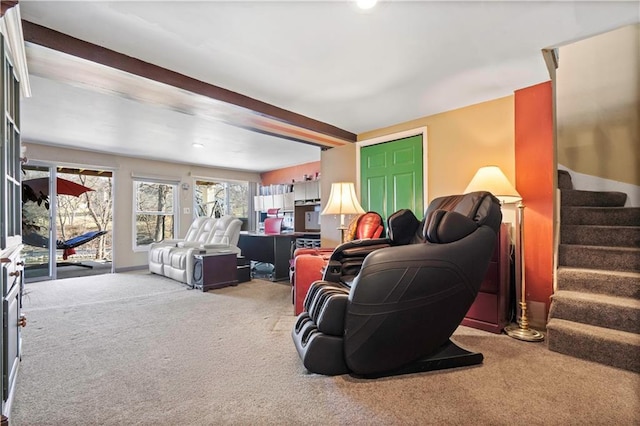 234 NE Bayview Dr, Lees Summit, MO 64064 - photo 42