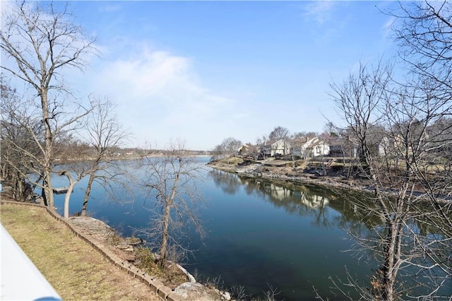 234 NE Bayview Dr, Lees Summit, MO 64064 - photo 46