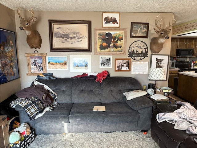 living room with a textured ceiling