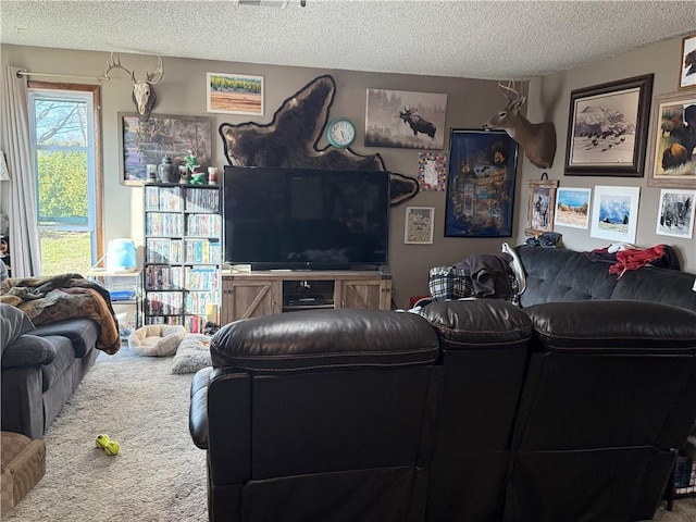 living room with a textured ceiling