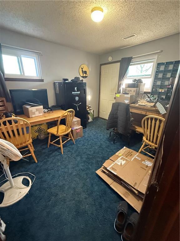 office area with visible vents, a textured ceiling, and carpet