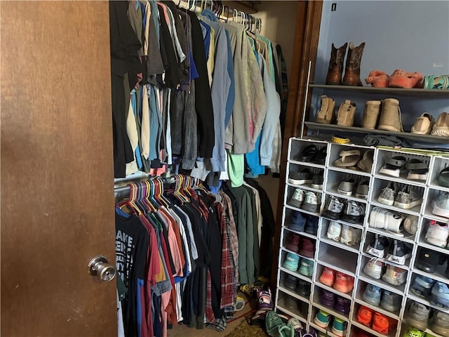 view of spacious closet