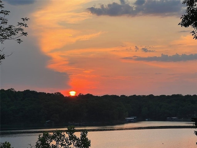 water view featuring a view of trees