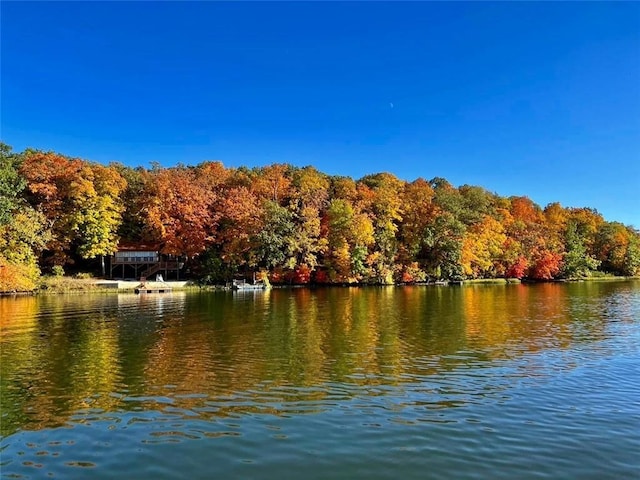 property view of water featuring a forest view