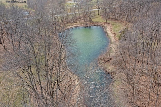 16520 NW 178th St, Platte City, MO 64079 - view of property location featuring a nearby body of water