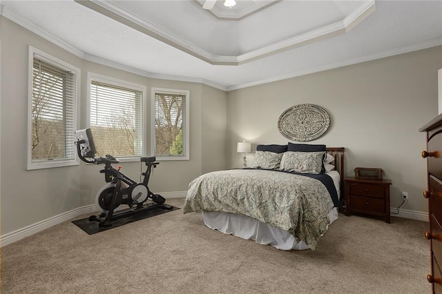 16520 NW 178th St, Platte City, MO 64079 - carpeted bedroom featuring ornamental molding and a raised ceiling