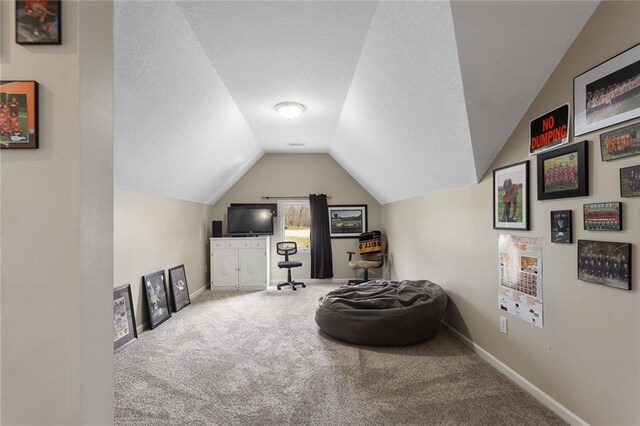 16520 NW 178th St, Platte City, MO 64079 - sitting room with carpet floors, lofted ceiling, and a textured ceiling