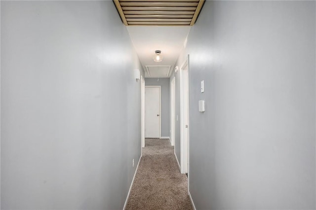 hallway with baseboards, visible vents, attic access, and carpet