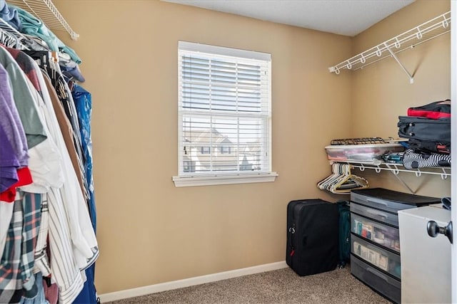 spacious closet with carpet floors