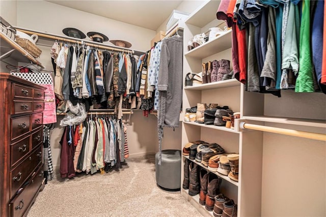 spacious closet with carpet