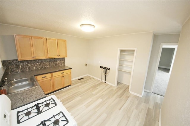 kitchen with light brown cabinetry, light wood-style flooring, and a sink