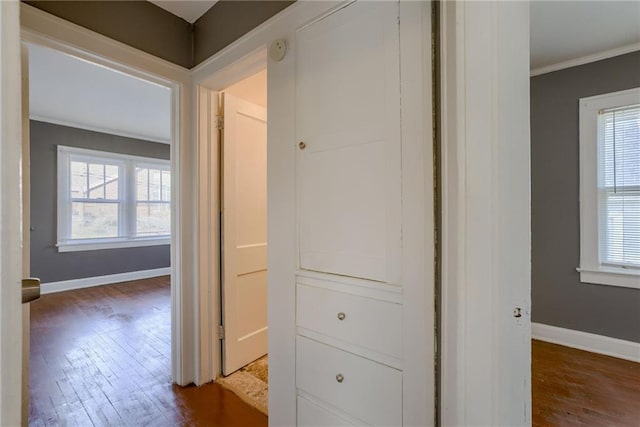 hall with a healthy amount of sunlight, dark wood-style flooring, and ornamental molding