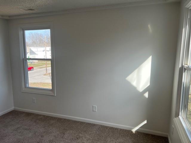 unfurnished room featuring visible vents, a textured ceiling, baseboards, and carpet floors