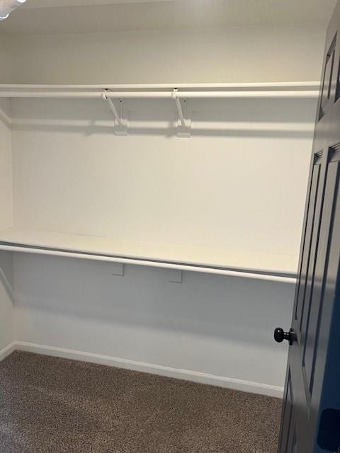 spacious closet with carpet