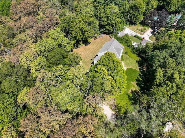 bird's eye view with a forest view