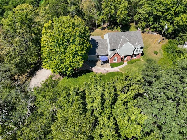 drone / aerial view