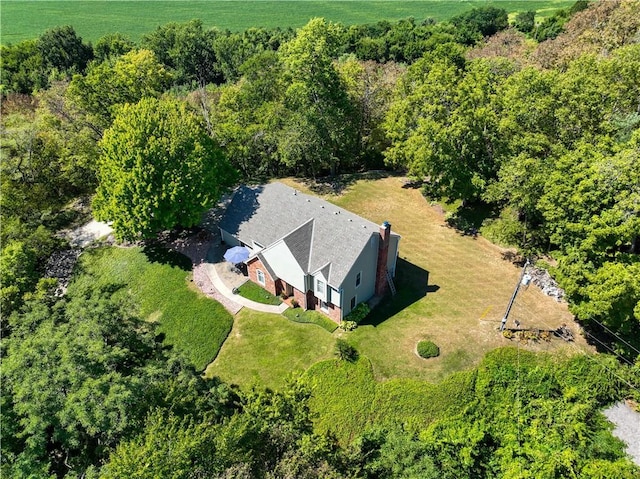 drone / aerial view