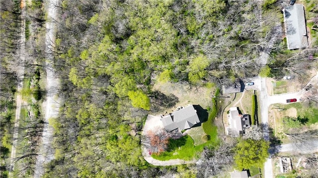bird's eye view