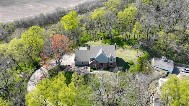 drone / aerial view