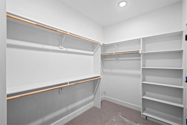 spacious closet with carpet flooring