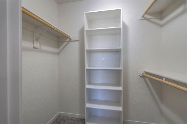 spacious closet featuring carpet flooring