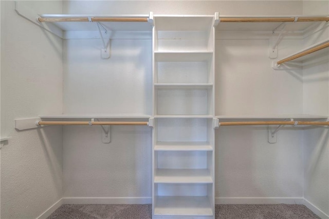 walk in closet featuring carpet floors