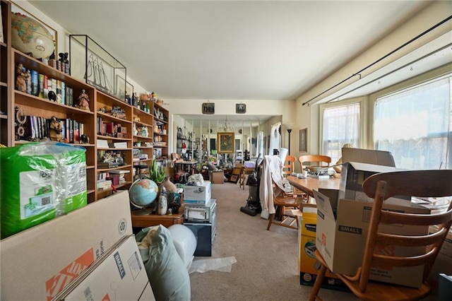 interior space featuring carpet flooring