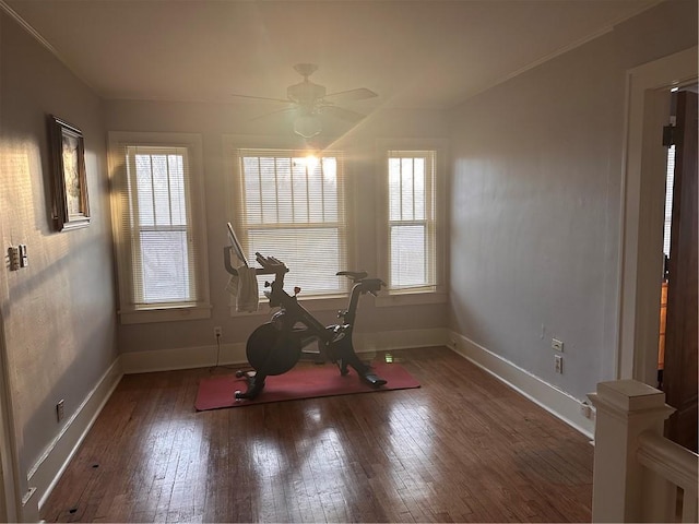 workout room with baseboards, hardwood / wood-style floors, a ceiling fan, and crown molding