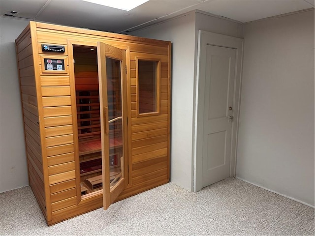 view of sauna featuring carpet