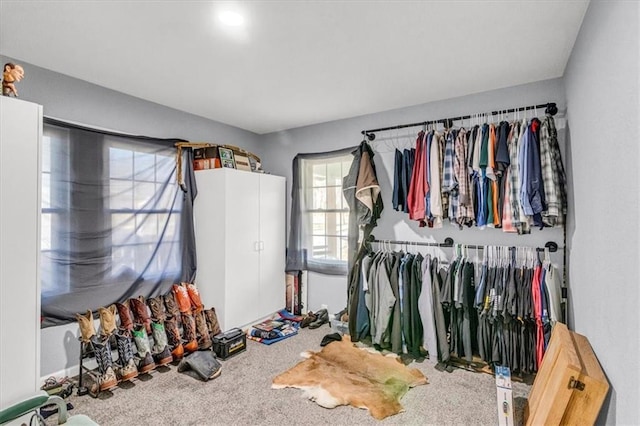 walk in closet featuring carpet floors