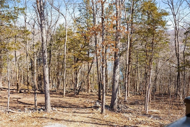 view of landscape featuring a wooded view