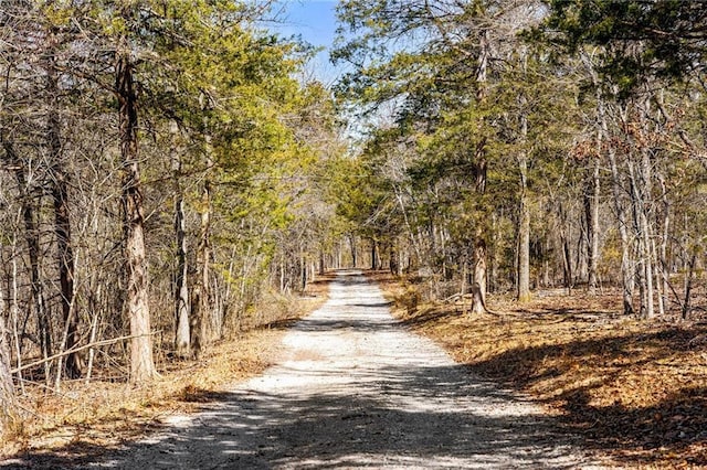 view of road featuring a wooded view