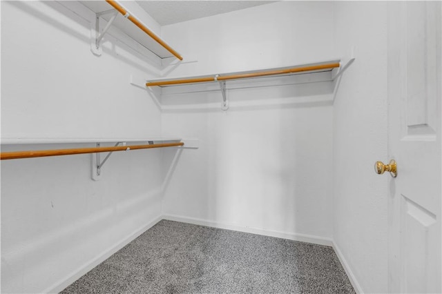 spacious closet featuring carpet