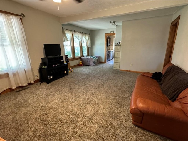 living area featuring baseboards, carpet, ceiling fan, and track lighting