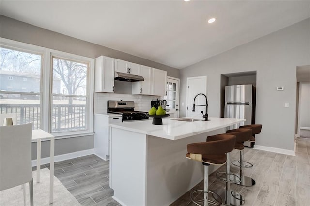 kitchen featuring tasteful backsplash, under cabinet range hood, vaulted ceiling, appliances with stainless steel finishes, and a sink