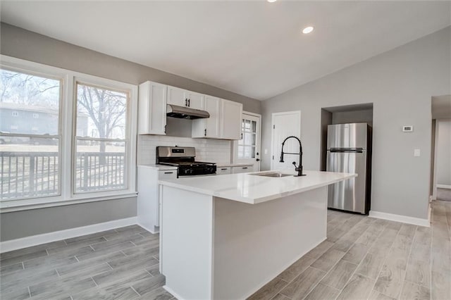 kitchen with wood tiled floor, a sink, stainless steel appliances, vaulted ceiling, and under cabinet range hood