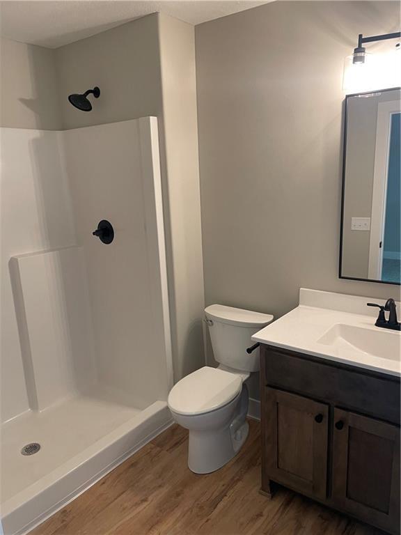 2101 N 31st Ter, Saint Joseph, MO 64506 - bathroom featuring wood finished floors, vanity, and a shower