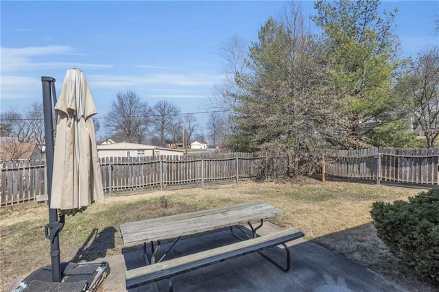 view of yard featuring a fenced backyard and a patio area