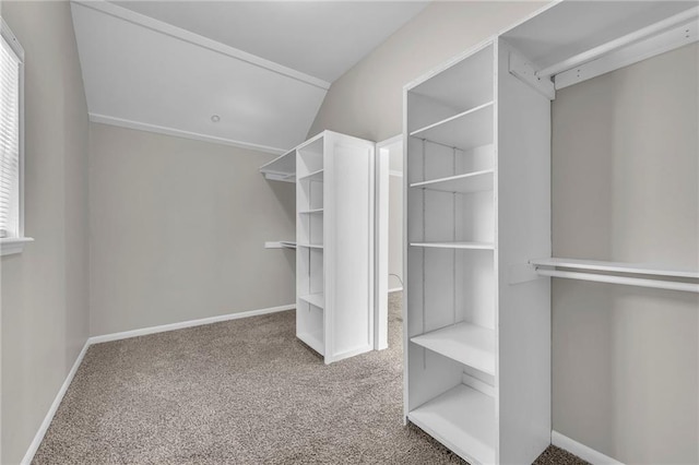 spacious closet with carpet floors