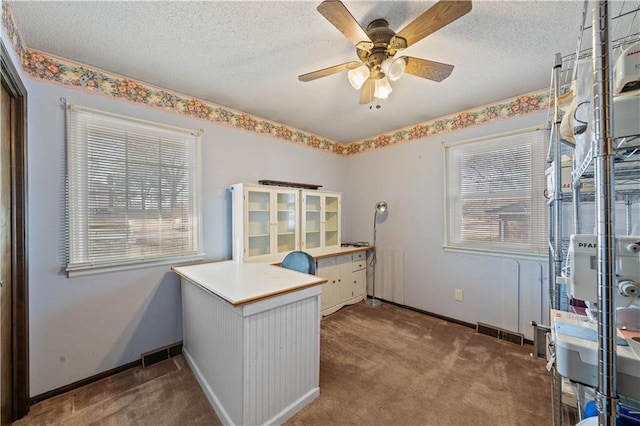 carpeted home office with visible vents, plenty of natural light, and a textured ceiling