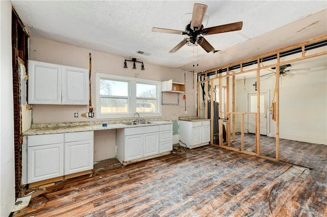 kitchen featuring visible vents, wood finished floors, white cabinets, a ceiling fan, and a sink