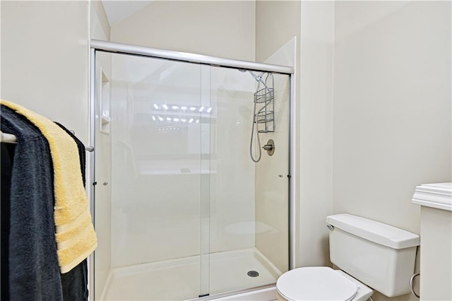 bathroom with a stall shower and toilet