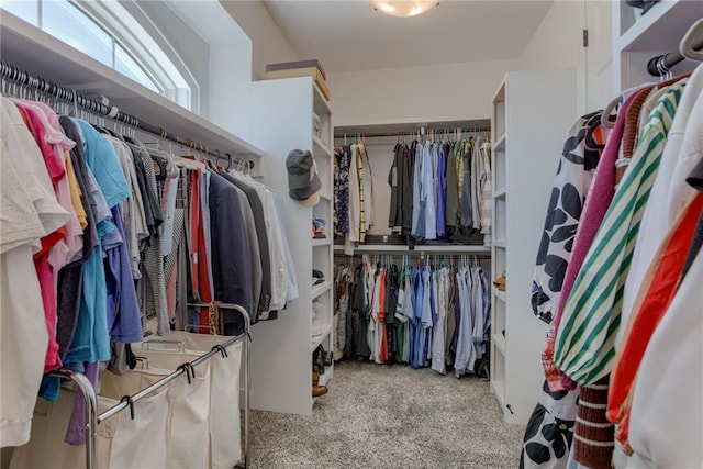 spacious closet with carpet flooring