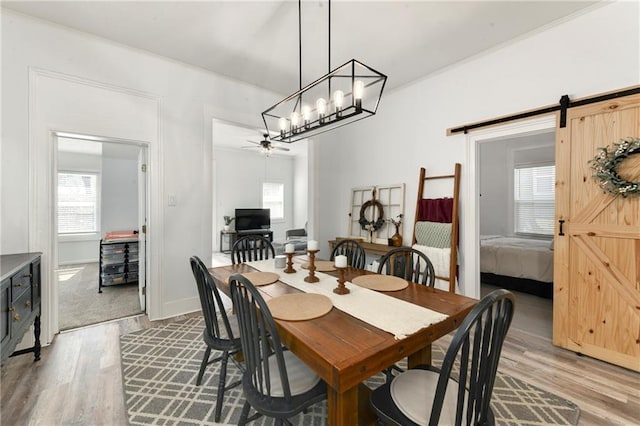 dining room with plenty of natural light, ceiling fan with notable chandelier, light wood-style floors, and a barn door