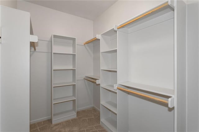 spacious closet featuring carpet