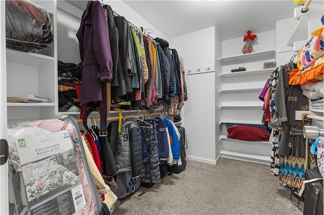 walk in closet featuring carpet