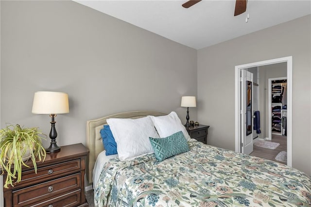 bedroom featuring a walk in closet, a closet, wood finished floors, and a ceiling fan