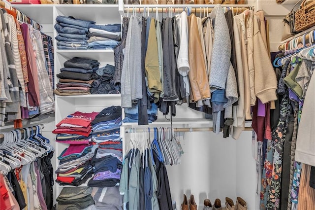 view of walk in closet