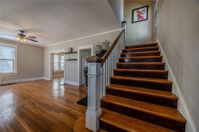 staircase featuring hardwood / wood-style flooring, a ceiling fan, baseboards, and ornamental molding