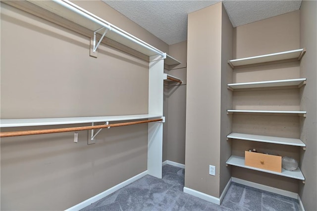 11705 E 86th Ter, Raytown, MO 64138 - walk in closet featuring carpet